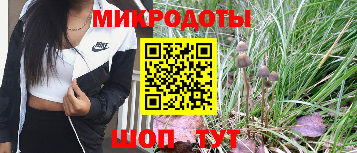 Псилоцибиновые грибы MAGIC MUSHROOMS Приморско-Ахтарск
